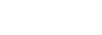 VIROGU Gasolineras 